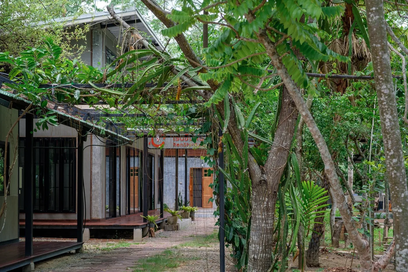 The foundation's timber learning house among the trees in Hang Dong