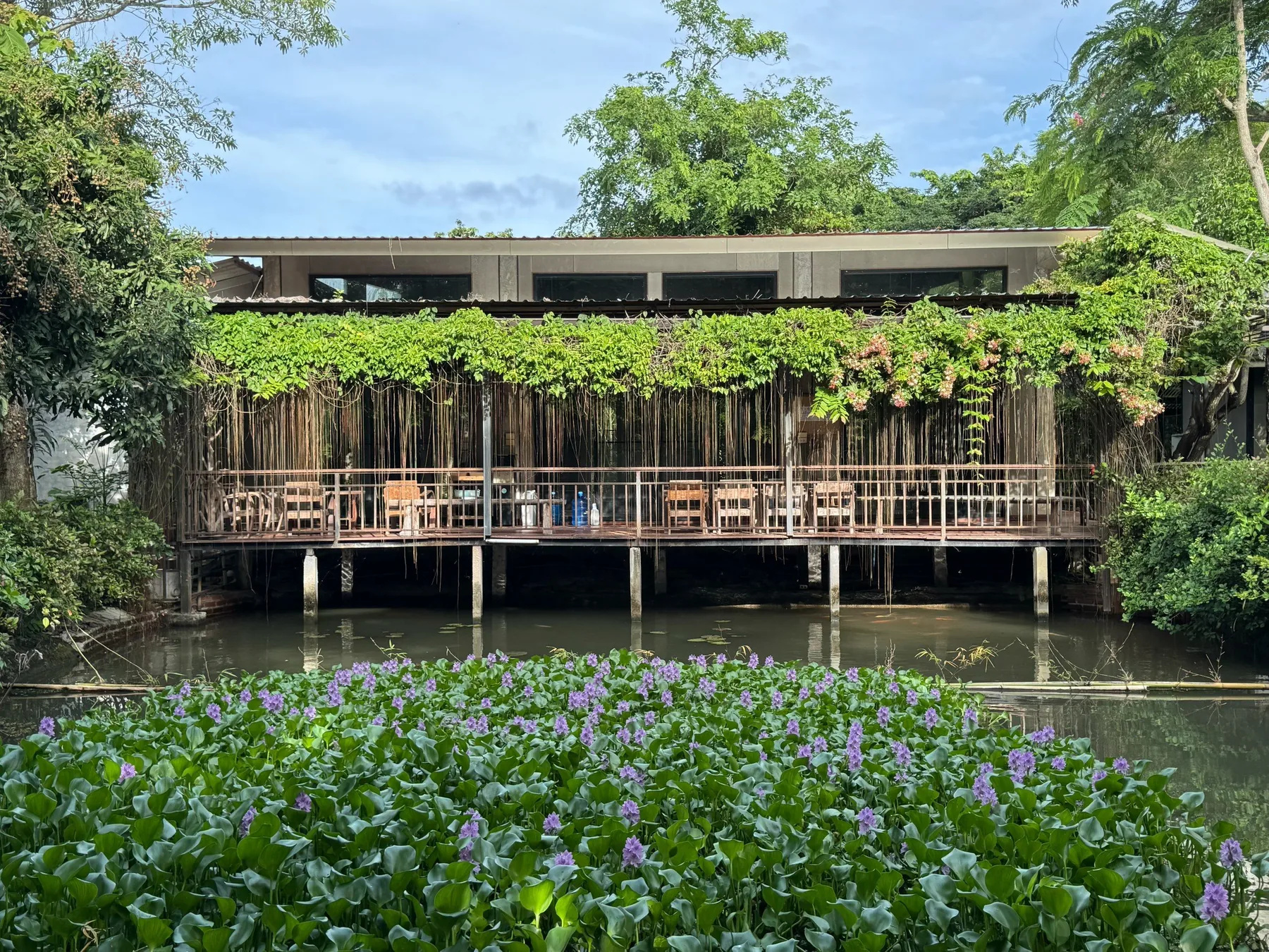 The foundation's open-air learning house beside a quiet pond of water hyacinth in Hang Dong, Chiang Mai