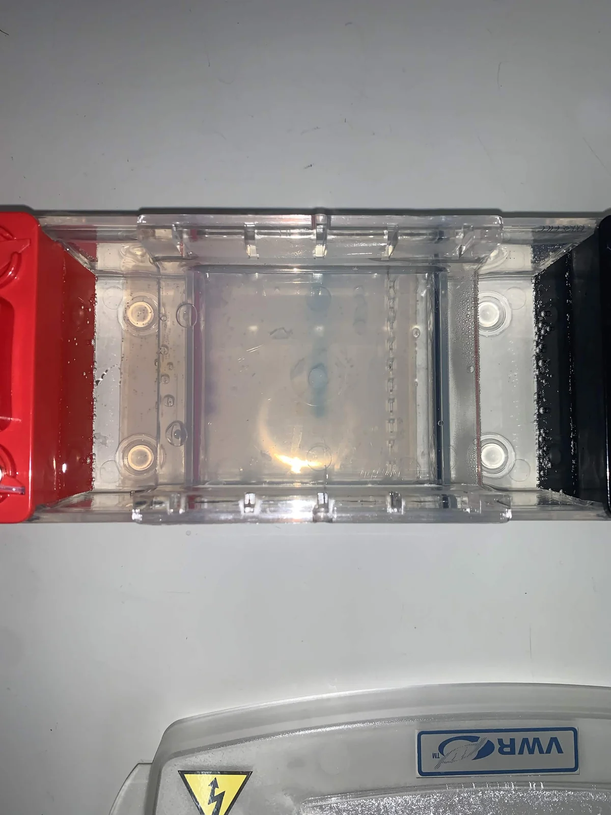 A clear gel electrophoresis chamber with red and black electrode ends on a laboratory bench.